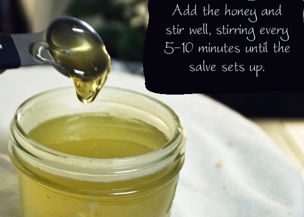 healingsalvehoney